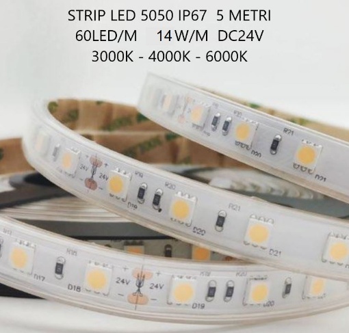 Immagine di Strip Led 5 Metri Da Esterno 14w/m 60Led/m DC24V IP67 Intec Light